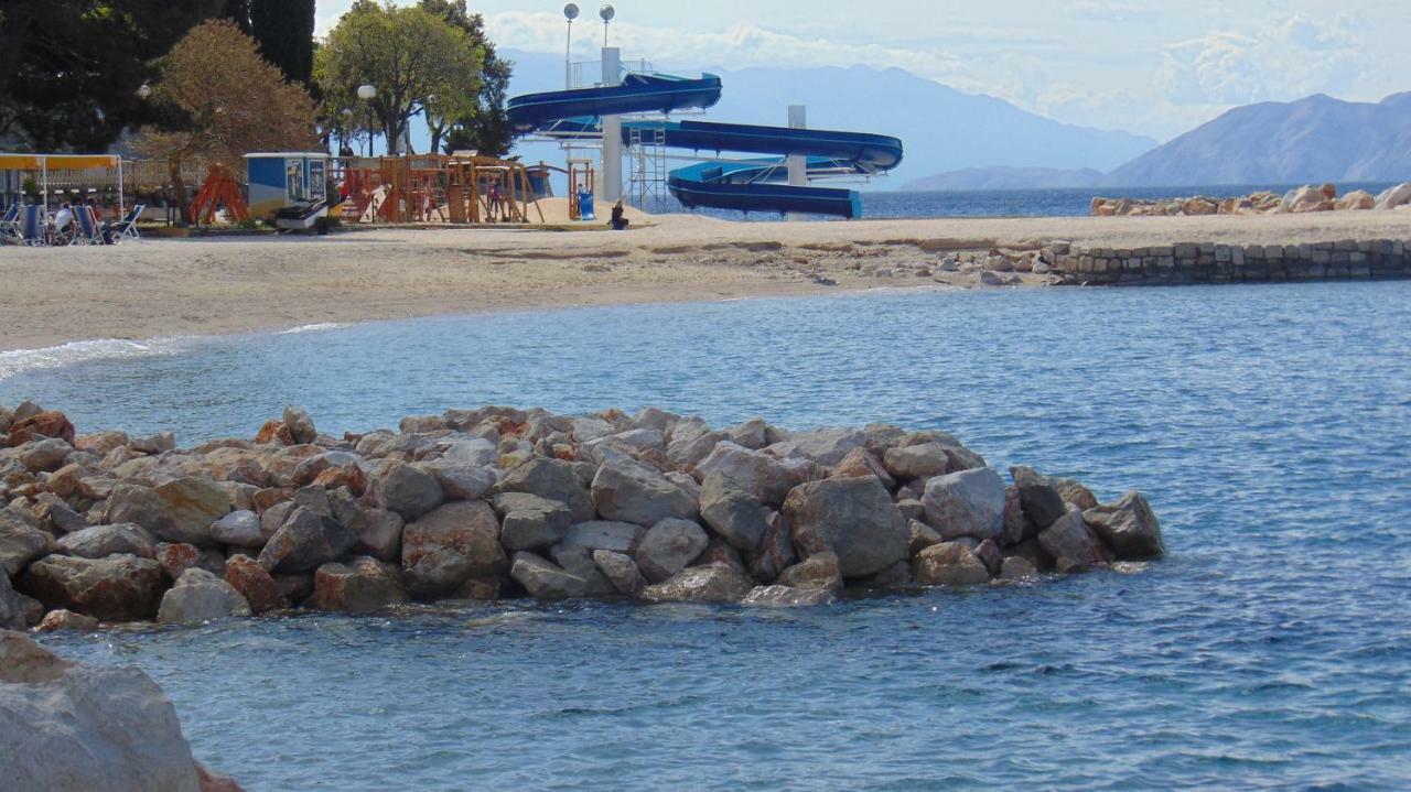 Magas * Selce